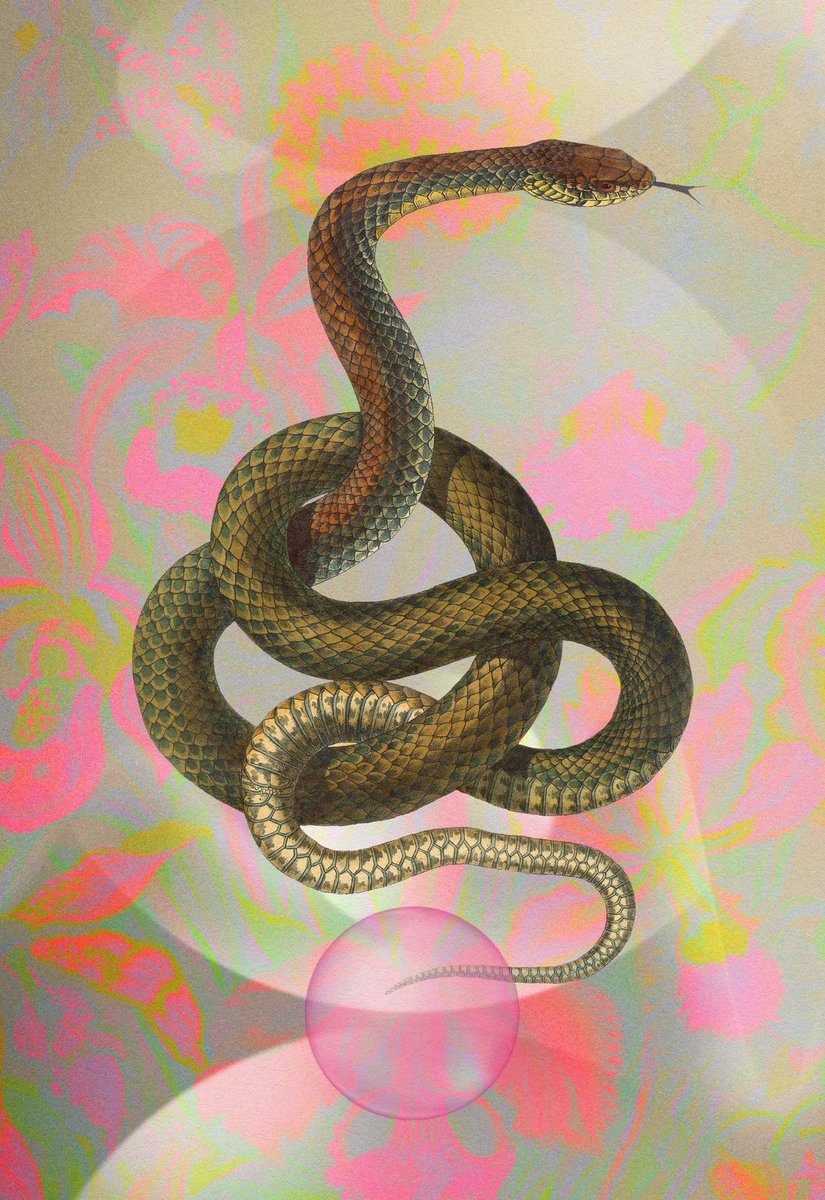 gogogee_'s tweet image. GM !! 🐍💛🧡🌸🪜 

1. @kior_art 
2. @gogogee_ 

#nftcuration