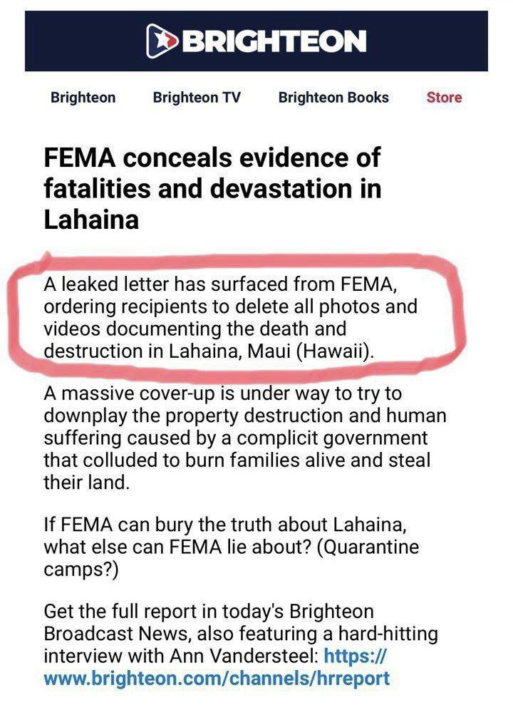 Karina Michelin tweet media