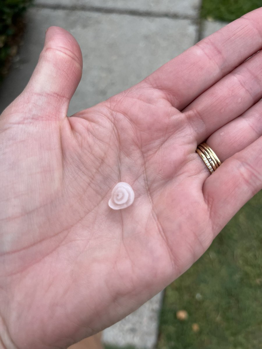 Marble-sized hail in uptown New Orleans <a href="/MargaretOrr/">Margaret Orr</a> #lawx