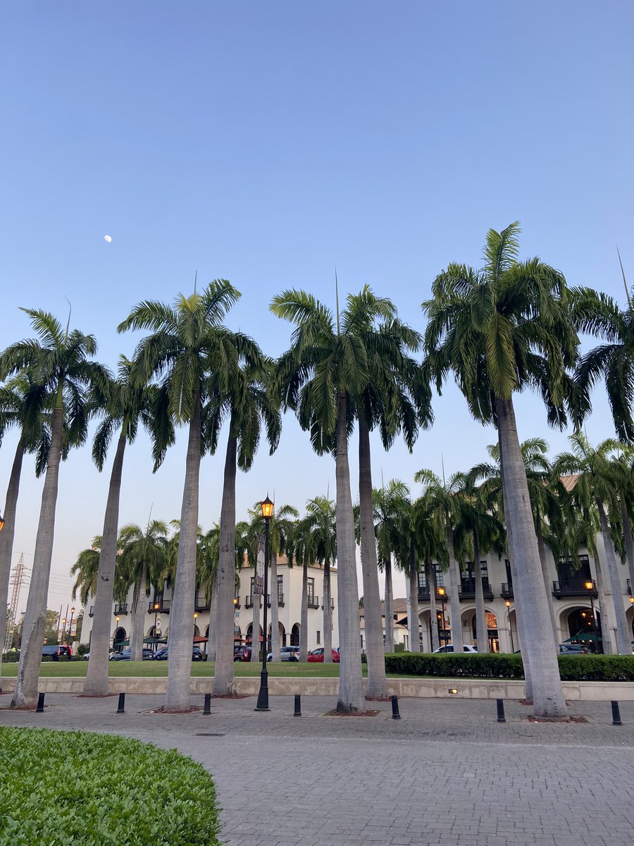 LuciaCabreraM's tweet photo. Bendecida tarde 🌖

#Guayaquil https://t.co/deJiNFpXSr