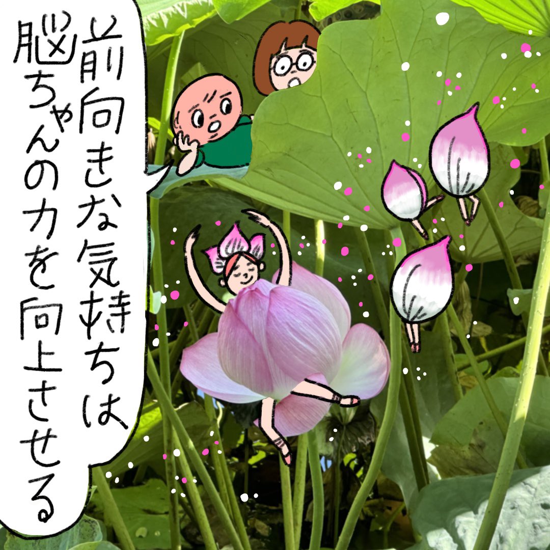 ringo_musubi's tweet photo. (脳ちゃんの格言その41)
前向きな気持ちは脳機能を向上させる。

前向きな気持ちを持続させることが人生を大切ってことは、周知の事実。
人は誰でも何か良いことがあると気分が上がって前向きな気持ちになり、反対に悪いことがあると気分が下がって後ろ向きな気持ちになる。→ https://t.co/996F1S2X81