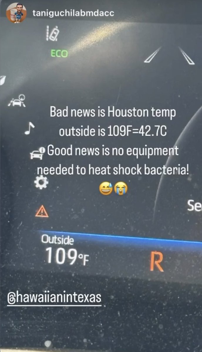 Hot enough today in #Houston to heat shock outside!  🔥😭