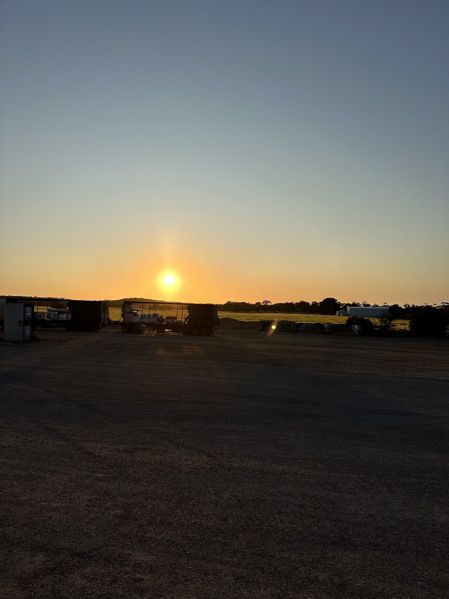 Your_SuccessLab's tweet image. This sunrise is way more important to me - as this picture shouts out these 3 phrases..

👉True Legacy
👉Australian dreams
👉Backbone of Economy

to me..

Can you feel what I feel?

If yes, let me know in the comments below - what is your true business dream?

#australiandream