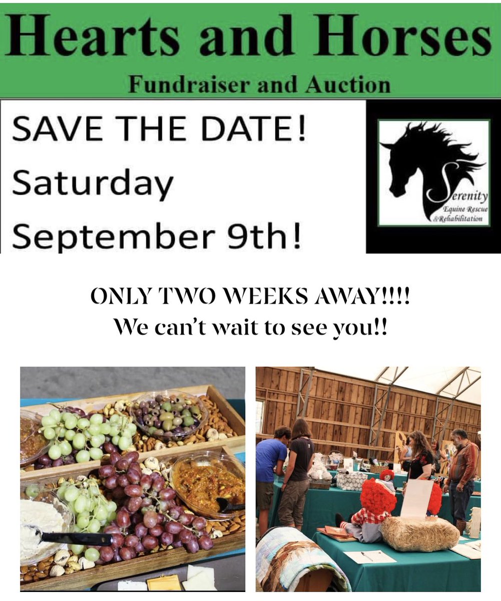 serenityequine's tweet photo. Our annual auction and fundraiser is only two weeks away and we are so excited! This is our biggest fundraiser event of the year and we are counting on our supporters to help us make it a success! https://t.co/y1wswECY3o