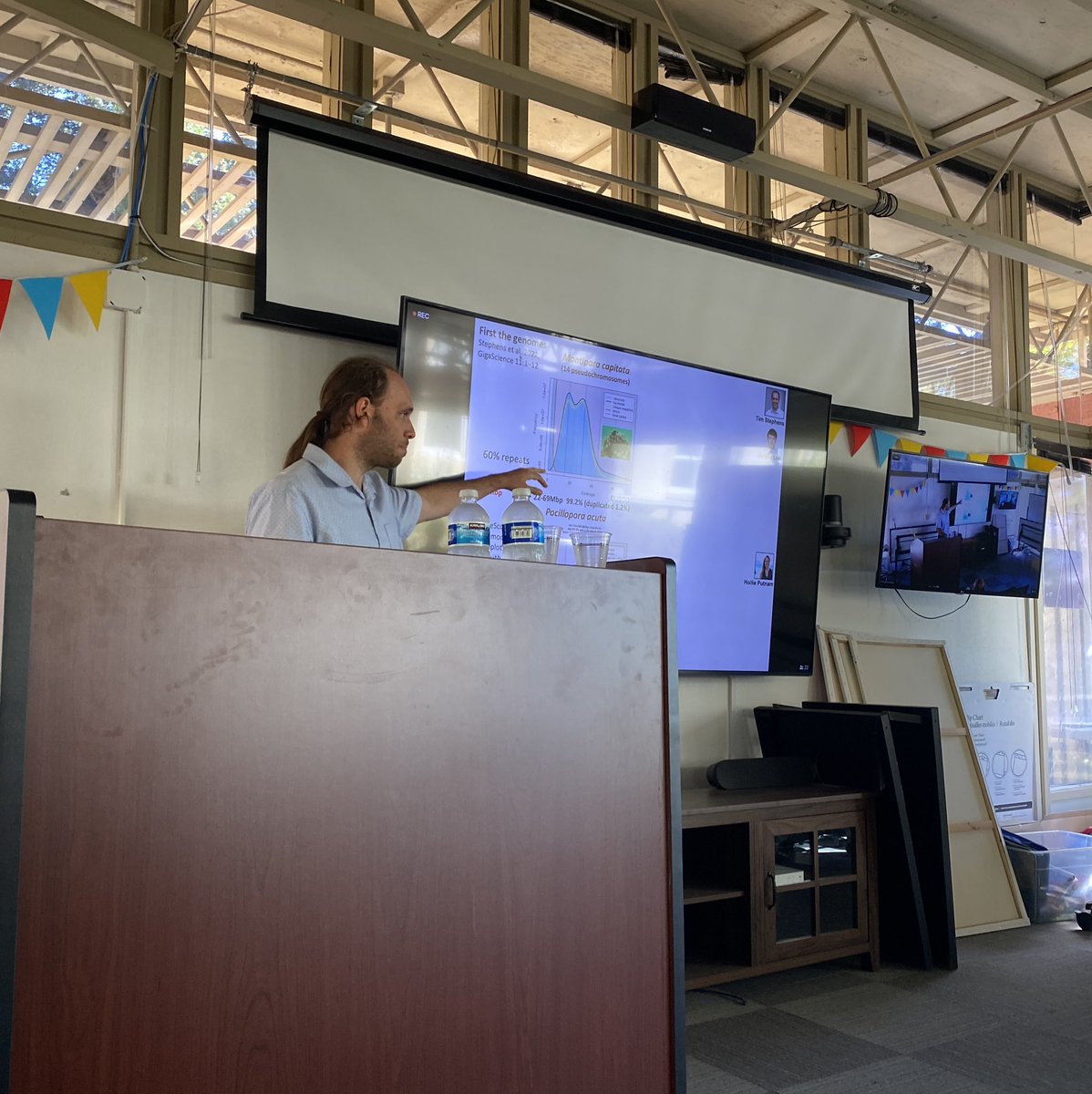 Victoria Calatrava tweet media