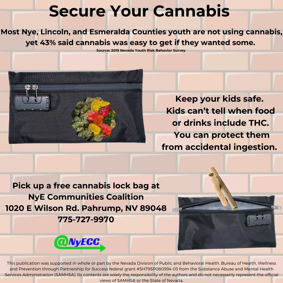 NyECommunities's tweet image. Secure your cannabis to keep your kids safe. #THC #lockbag