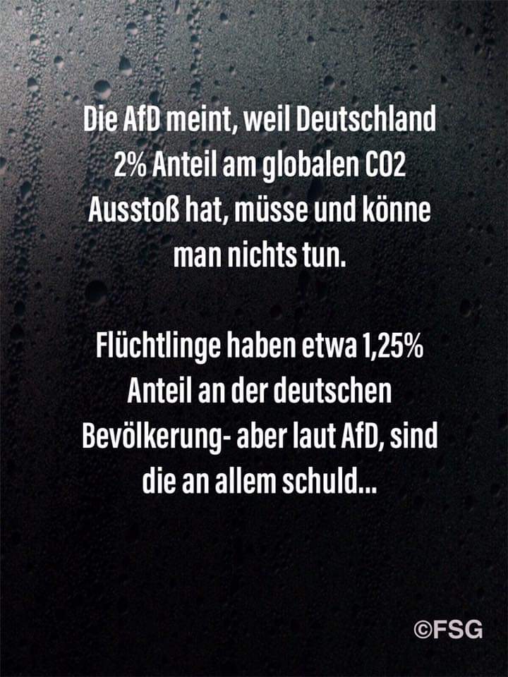 #noafd #nonazi