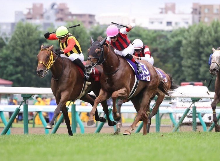 Alexis Badel tweet media