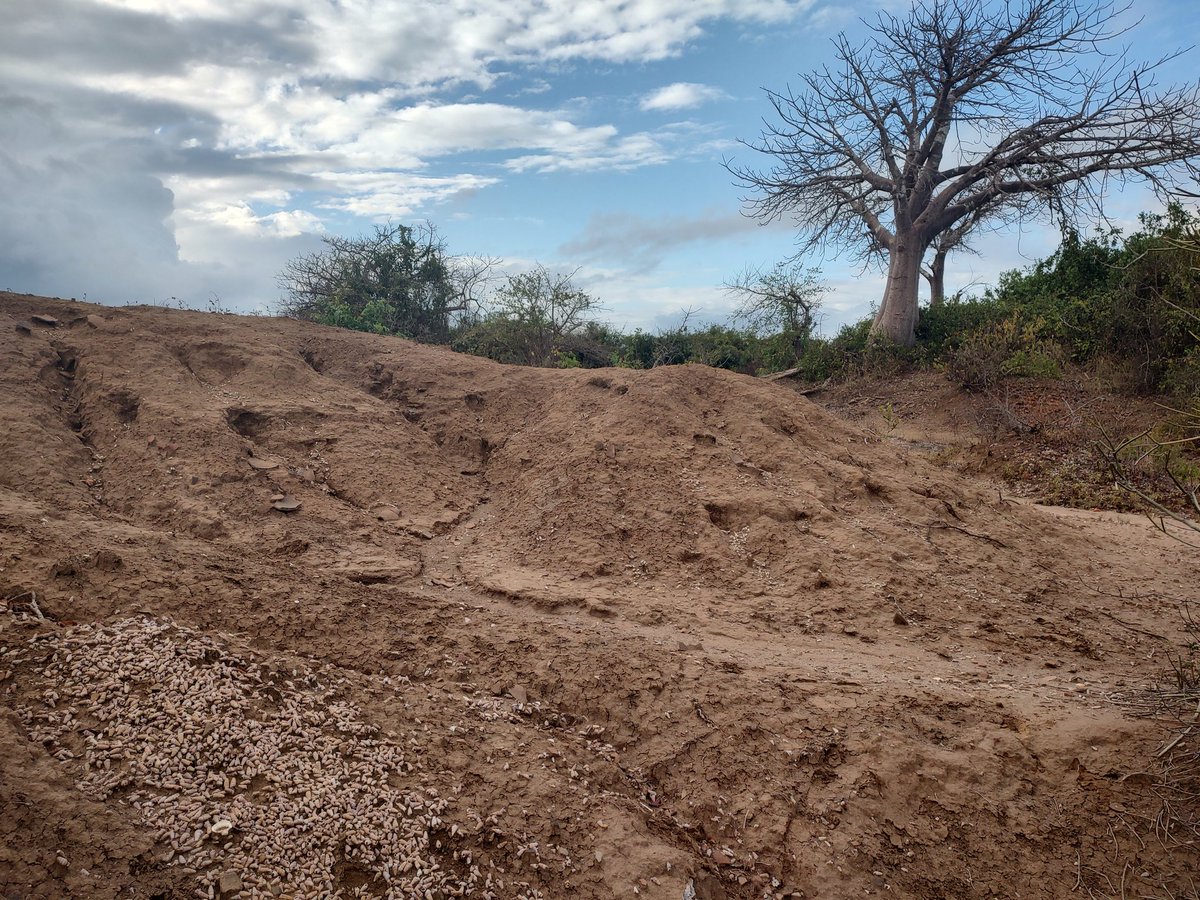 Erosion of the landscape around Winde in Tanzania @IchumbakiE @urithiwetutz @UdsmOfficial