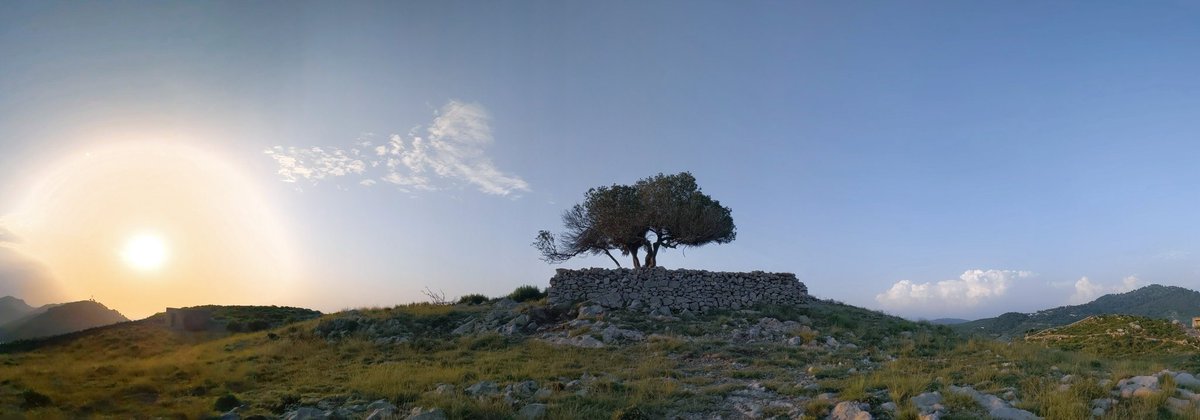 desi_disco's tweet photo. best thing about islamabad is ease of access to trekking/hiking. went to trail 7 this weekend, moved away to climb the highest hill and to my surprise, found a mazaar/shrine at the top under a beautiful tree.
watched the sunset &amp; did a moonlight trek on the way down. maza aagaya. https://t.co/8C9ImhSRRx