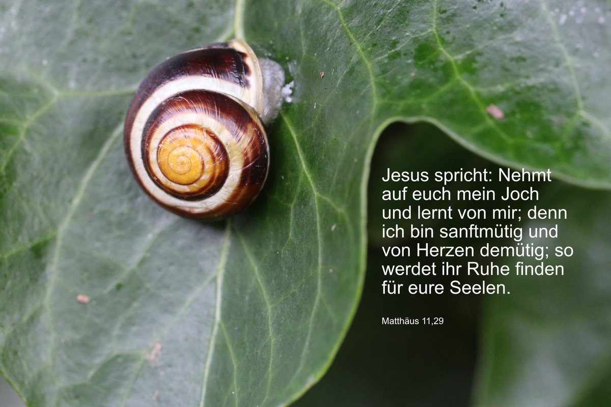 Ruhe für die Seele - das ist unser Wunsch für euch heute. Der Tag, er sei euch gesegnet. Guten Morgen miteinander!