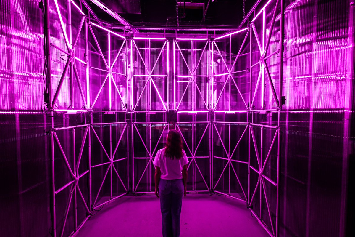 artechouse's tweet photo. #ARTECHOUSEstudio represents feelings of fearlessness, positivity, ingenuity and so much more through a visually-stunning and vibrant Viva Magenta world 💖✨ #MAGENTAVERSE #ARTECHOUSEMiami https://t.co/JRdU5GujzK