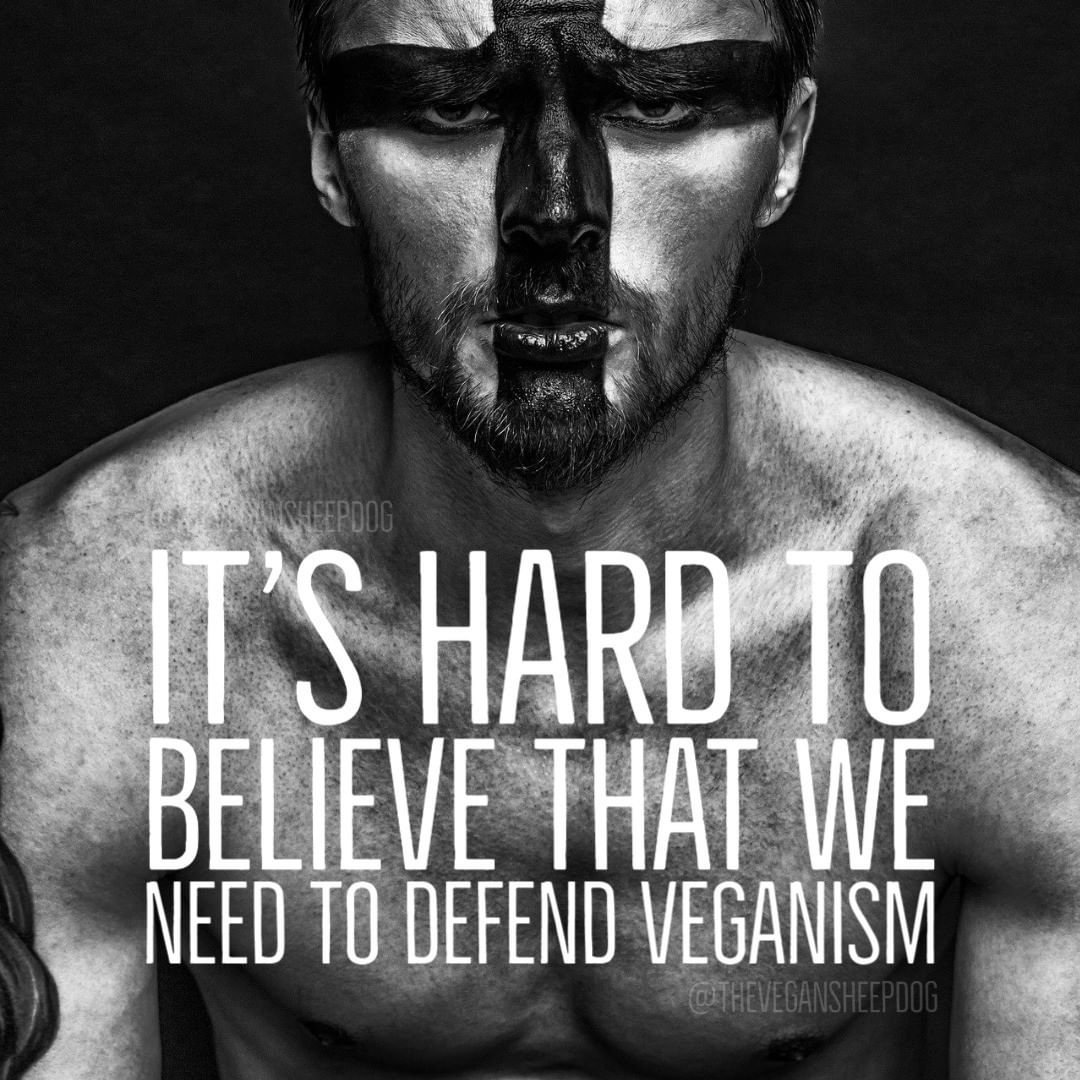 Is it just me, or is it crazy that we have to actually defend veganism, that we have to explain to people that being cruel to animals is both wrong and unacceptable?
#vegan #vegans #veganmen #veganwomen #veganwarriors #veganshare #veganjourney #veganmemes #veganstrong #compassion