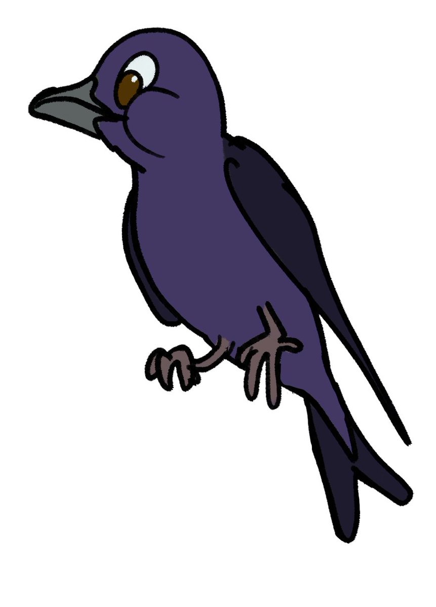 MaddieFawnadeer's tweet photo. More Disney-style birds
1. Pileated Woodpecker
2. Purple Martin
3. Red-bellied Woodpecker
4. Red-eyed Vireo
#art #redbubble #birdstickers #pileatedwoodpecker #purplemartin #redbelliedwoodpecker #redeyedvireo https://t.co/XorFCoIewO