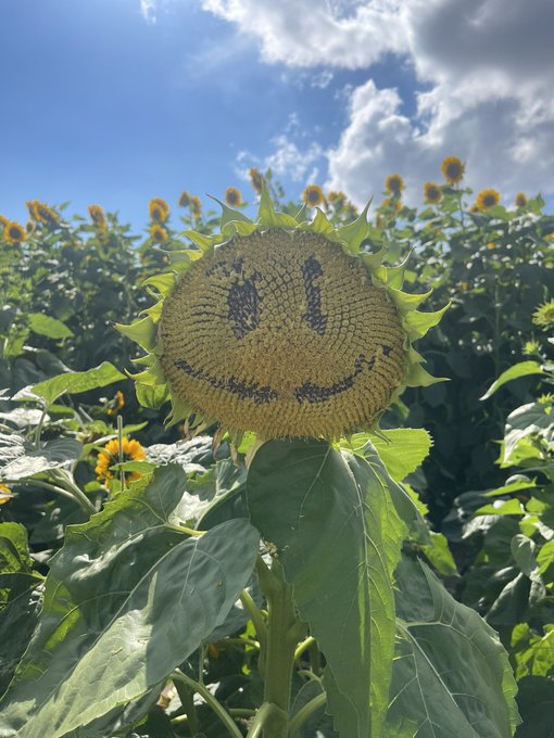 💛💛💛 https://t.co/4UZH5BYqIL