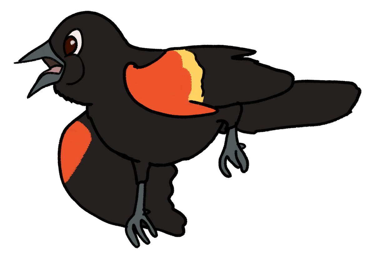 MaddieFawnadeer's tweet photo. More Disney-style birds
1. Red-headed Woodpecker
2. Red-winged Blackbird
3. American Robin
4. Rose-breasted Grosbeak
#redheadedwoodpecker #redwingedblackbird #americanrobin #rosebreastedgrosbeak #robin #art #redbubble #birdstickers https://t.co/J31l2Cf92I