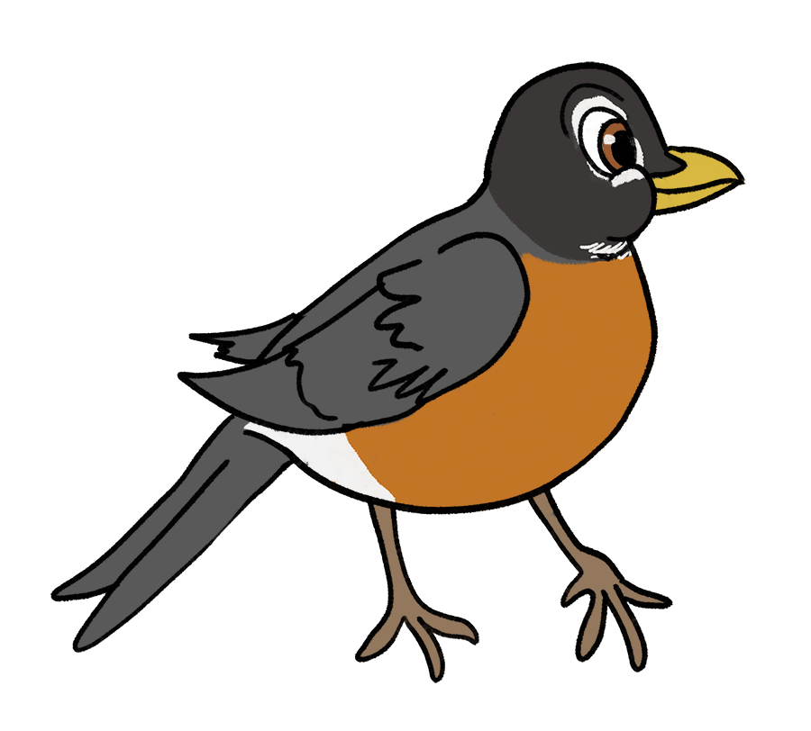 MaddieFawnadeer's tweet photo. More Disney-style birds
1. Red-headed Woodpecker
2. Red-winged Blackbird
3. American Robin
4. Rose-breasted Grosbeak
#redheadedwoodpecker #redwingedblackbird #americanrobin #rosebreastedgrosbeak #robin #art #redbubble #birdstickers https://t.co/J31l2Cf92I
