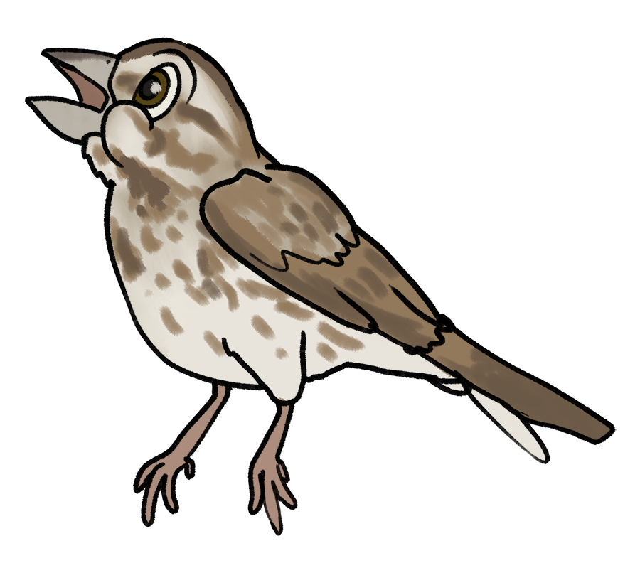 MaddieFawnadeer's tweet photo. More Disney-style birds
1. Scarlet Tanager
2. Song Sparrow
3. Tufted Titmouse
4. Tree Swallow
#art #redbubble #birdstickers #scarlettanager #songsparrow #tuftedtitmouse #treeswallow https://t.co/Fjln3Lovgo