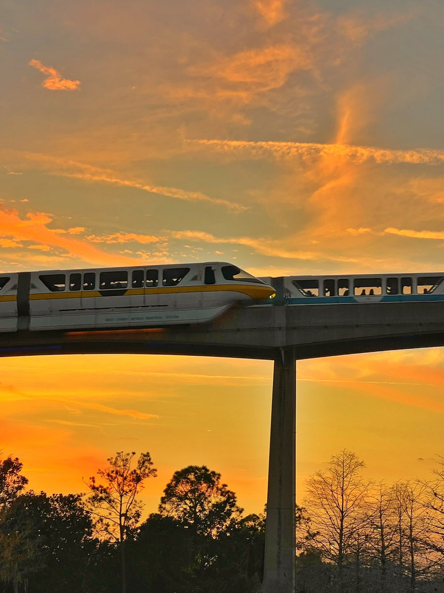 Monorails at twilight 💛💕🧡

#WaltDisneyWorld ✨ #Disney100