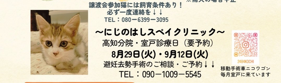 明日はにじのはしスペイクリニック高知分院.室戸診療の日です。予約してくれた方ありがとうございます🙏来月分の予約を受付つけています。まだ枠があるので避妊去勢手術をしてくださいね