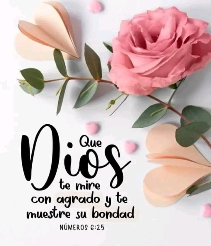 𝓛𝓲𝓼𝓷𝓮𝔂🌹🔥 (@lisney2022) on Twitter photo 