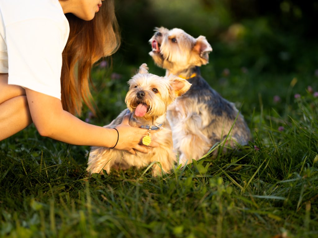 Wanting Wei tweet media