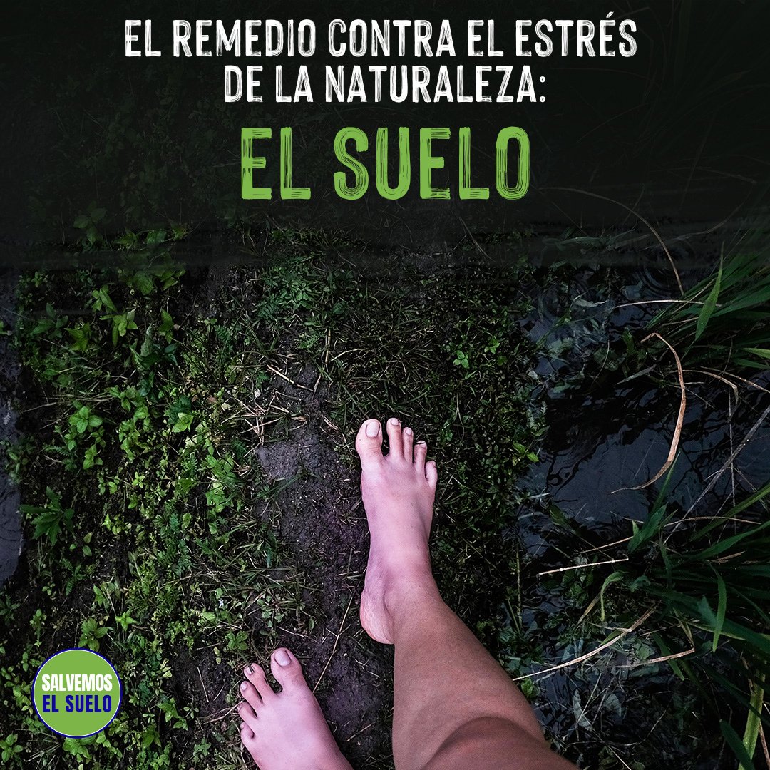 cpm_espanol's tweet photo. Caminar descalzo sobre el suelo es una de las mejores cosas que puedes hacer por tu salud mental. Está científicamente probado que puede prevenir enfermedades mentales crónicas como la depresión y la ansiedad.
Escribe a tus líderes ya: https://t.co/mh6ULLI4a5
#SaludMental https://t.co/ru0wriBkS9