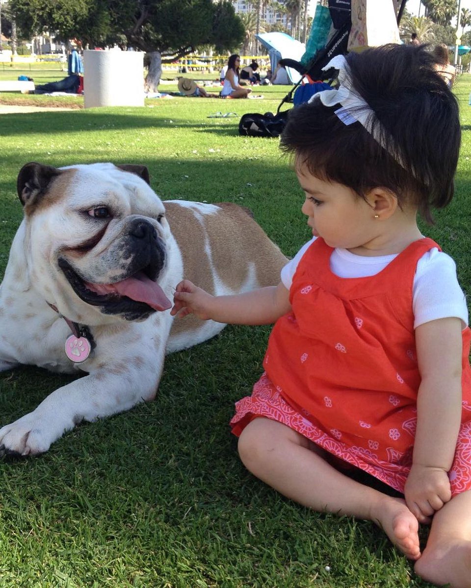 UniMas's tweet image. Les compartimos un poco de la vida de #Fiona, un miembro muy importante de la familia #Derbez.  🥰🐶Lamentamos mucho su pérdida ❤️
📸 Ig #EugenioDerbez