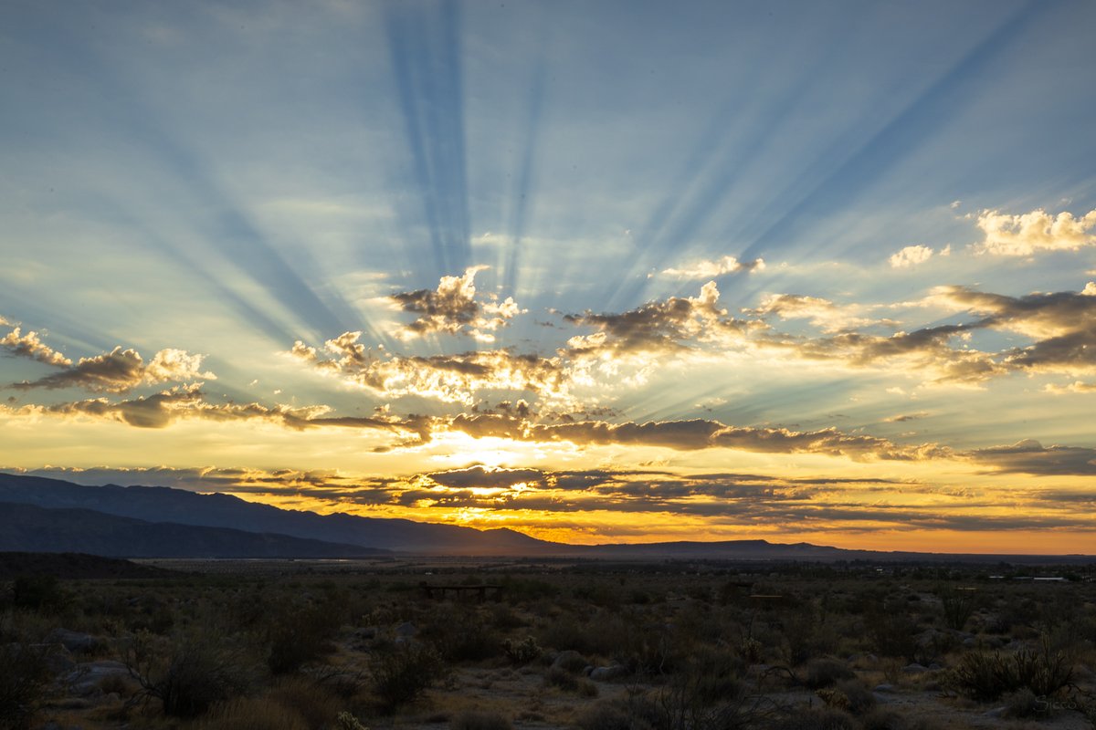 AnzaBResearch's tweet photo. The few clouds and the sunrise created some wonderful crepuscular rays this morning (Photos: Sicco Rood). https://t.co/mHWlWBGFls