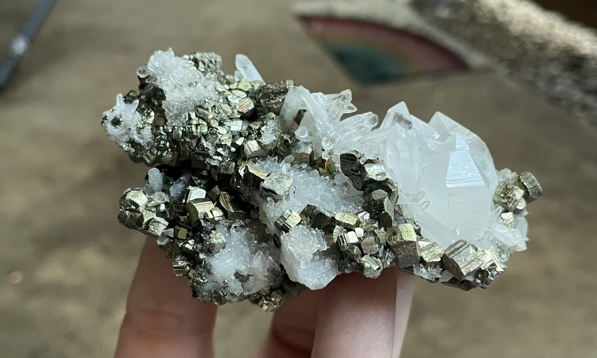 Pyrite with Quartz from the Arabia Mine in Peru 🇵🇪 #pyrite #quartz #mineralspecimen #Peru #combo #rock