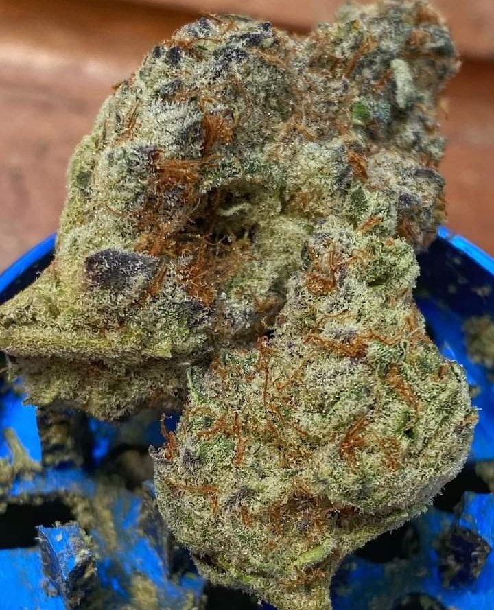 nug:'melocotones de chocolate 🍑🍫
#cannabiselevado
📸:420lifestyle