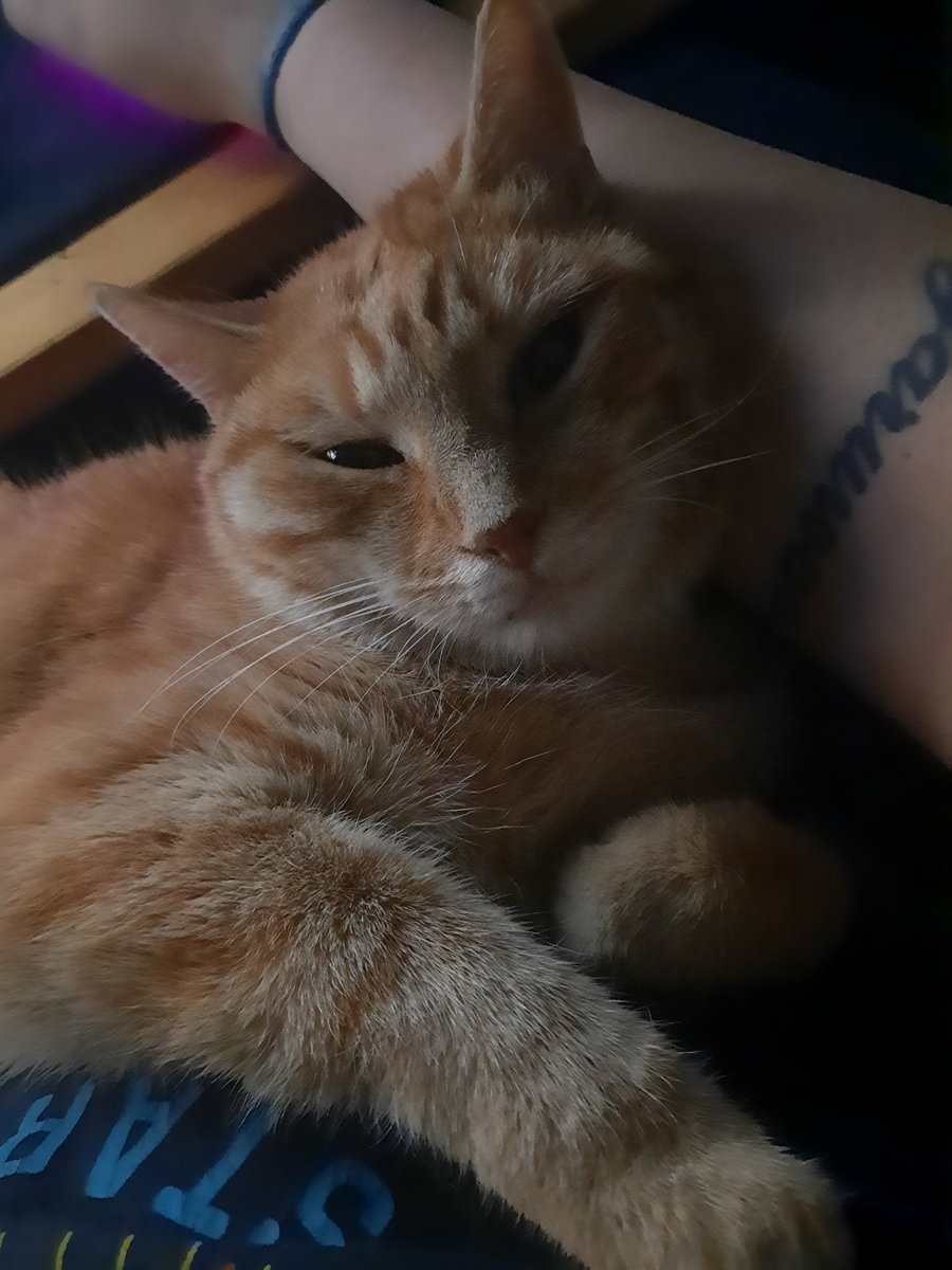 Pourquoi je joues comme un caca sur Valo et je rank up pas? Les mates?? Non non non... This one 😻
