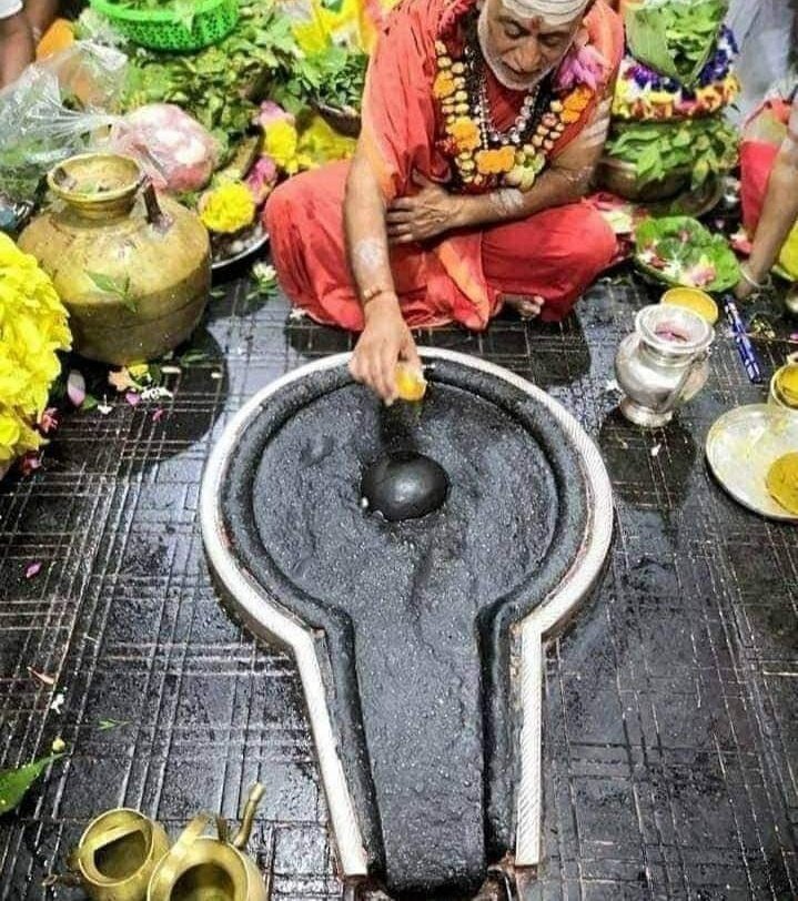 Do you know? There are many plants and many other things that are very sacred & offer on Shivlings which makes Bhagwan Shiv happy. It is very easy to please Lord Shiva because one of his names is Bhole too. Har Har Mahadev