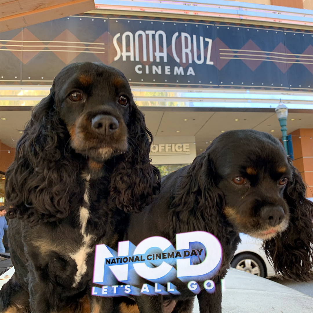 Did you get your $4 MOVIE TICKETS? 🎉 #NationalCinemaDay 🎥🎬
Let's All Go! 🐶🐶
#santacruzcinema #santacruzlife #santacruzca #landmarkdelmartheatre #delmartheatre #santacruzdogs #delmartheatresantacruz #santacruzcalifornia 
#downtownsantacruz #visitsantacruz #movies #doglover
