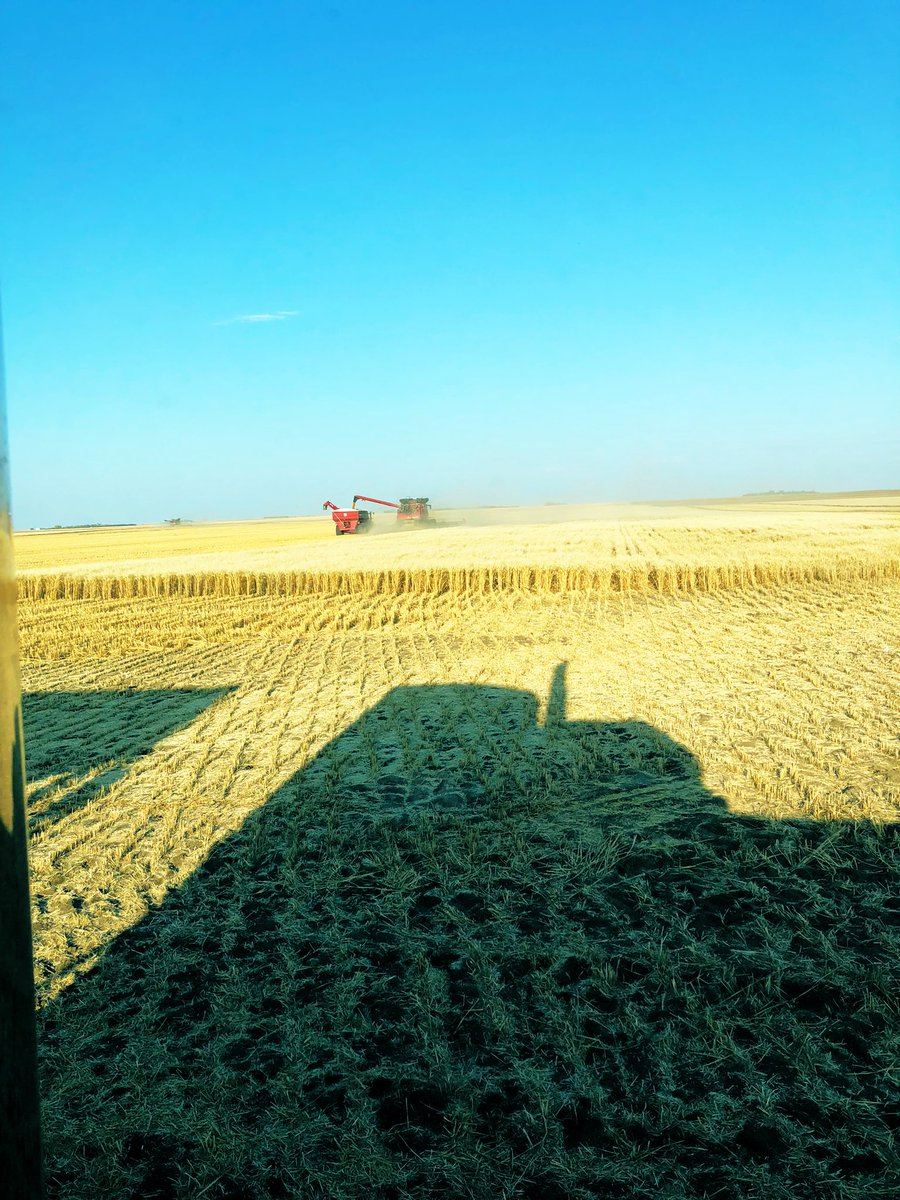 Blumer Seeds tweet media