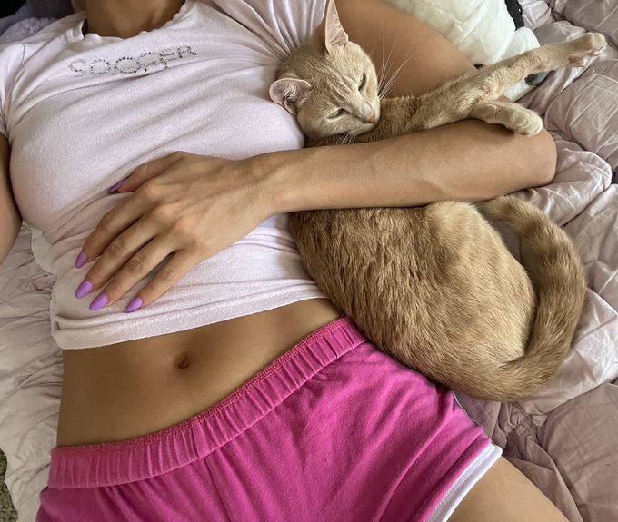 Honestly, this is what life is about 🐈💤 https://t.co/HwYL6oav5C