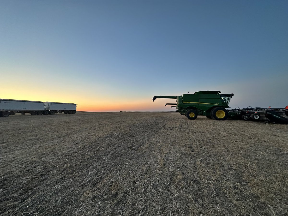 Durum ✅
Lentils ✅
Chickpeas ✅ 
 
#harvest23