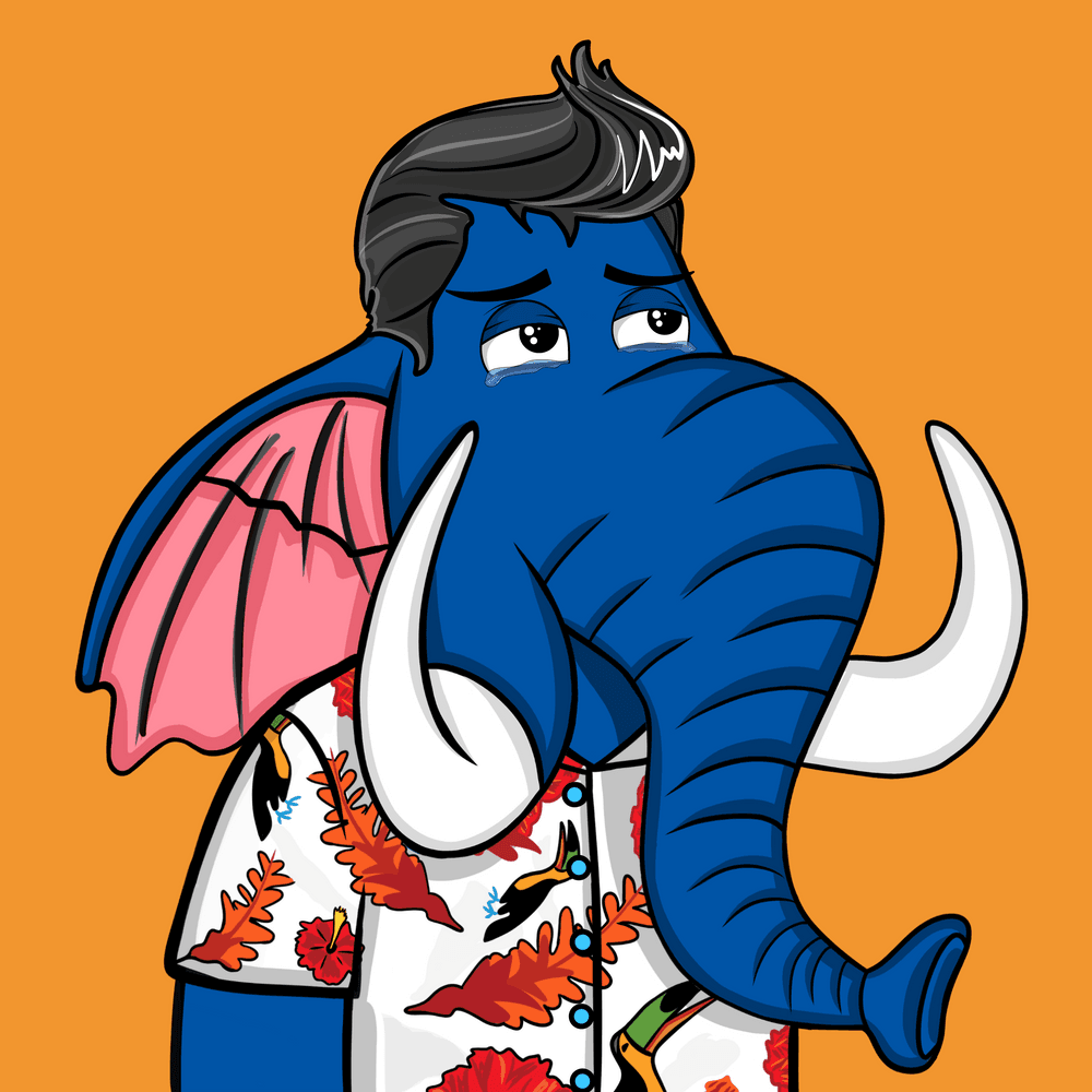 OrangeHerdNFTs's tweet photo. It's #StampedeSunday and I'm admiring this new Untamed Tat (Conservation card) I just got airdropped courtesy of @ElephantNFTS and @NOMOZ_X and this #OrangeHerd I bought earlier this weekend.
Blue on Orange looks good, almost as good as Orange on Orange https://t.co/bQpHPlZ6Oo