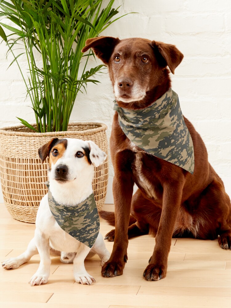 ClickBargin's tweet image. Military Style Camouflage Collection
redbubble.com/i/pet-bandana/…