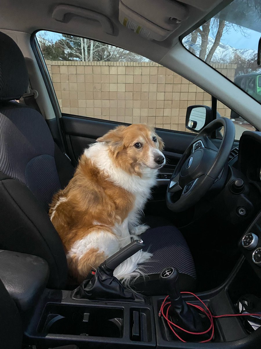 CanyonChasers's tweet photo. I can’t believe I missed #internationaldogday . So here’s a belated post celebrating Chase the dog. He’s getting a lot older and I don’t know how much more time we have so I’m savoring every day. https://t.co/6RWiKXagjj