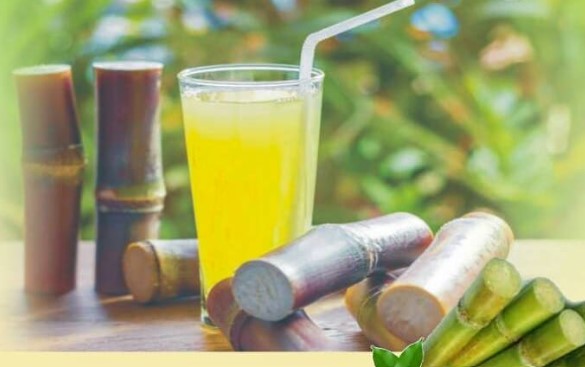 What you must Know About Sugar Cane Juice

A friend of mine shared a story about how sugar cane juice is fast becoming a thing forpeople to consume in Abuja. I know many people are already taking it, thinking it's healthy.drink.

parallelfacts.com/what-you-must-…