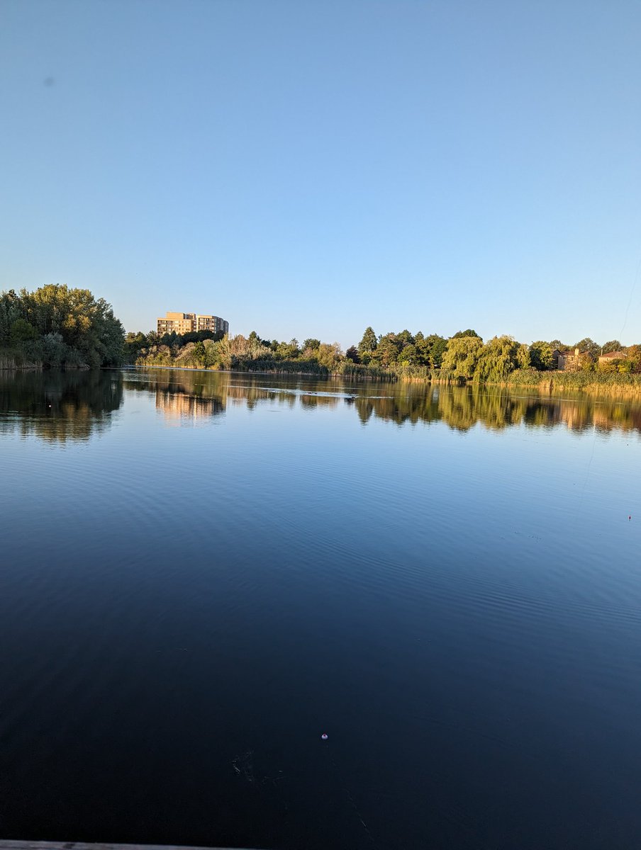 creative monkey tweet media