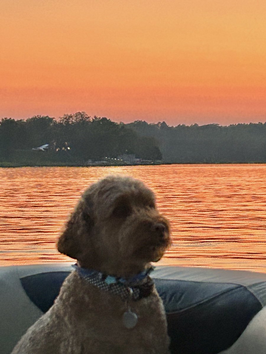 Brian Gordon tweet media