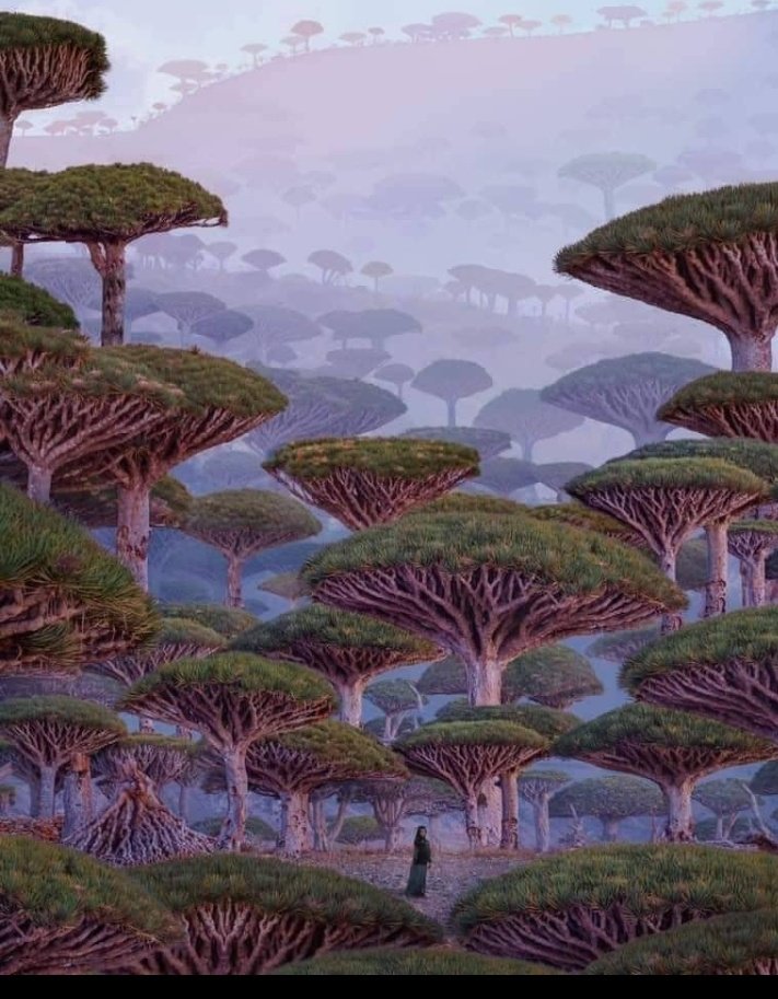 #الامارات_تدنس_جزيره_سقطري
<a href="/12yck/">🇸🇦ثقتي بالله تامه🇸🇦</a> 
@01u__ 
<a href="/1F_Z2/">الـطـائـرة 🐦🔥</a> <a href="/7OOGK6/">مكتب ابوسعود خدمات عامه</a> <a href="/_mftn/">meftun🍀</a> <a href="/AsmeeKamal2/">اميره الأحزان</a> 

لماذا يأخوة العرب