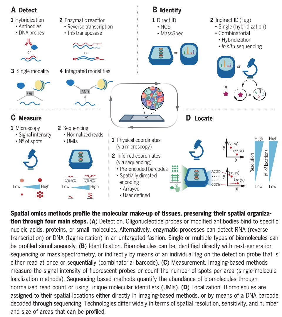 BioDecoded's tweet image. The dawn of spatial omics | Science
science.org/doi/10.1126/sc…

#SpatialOmics