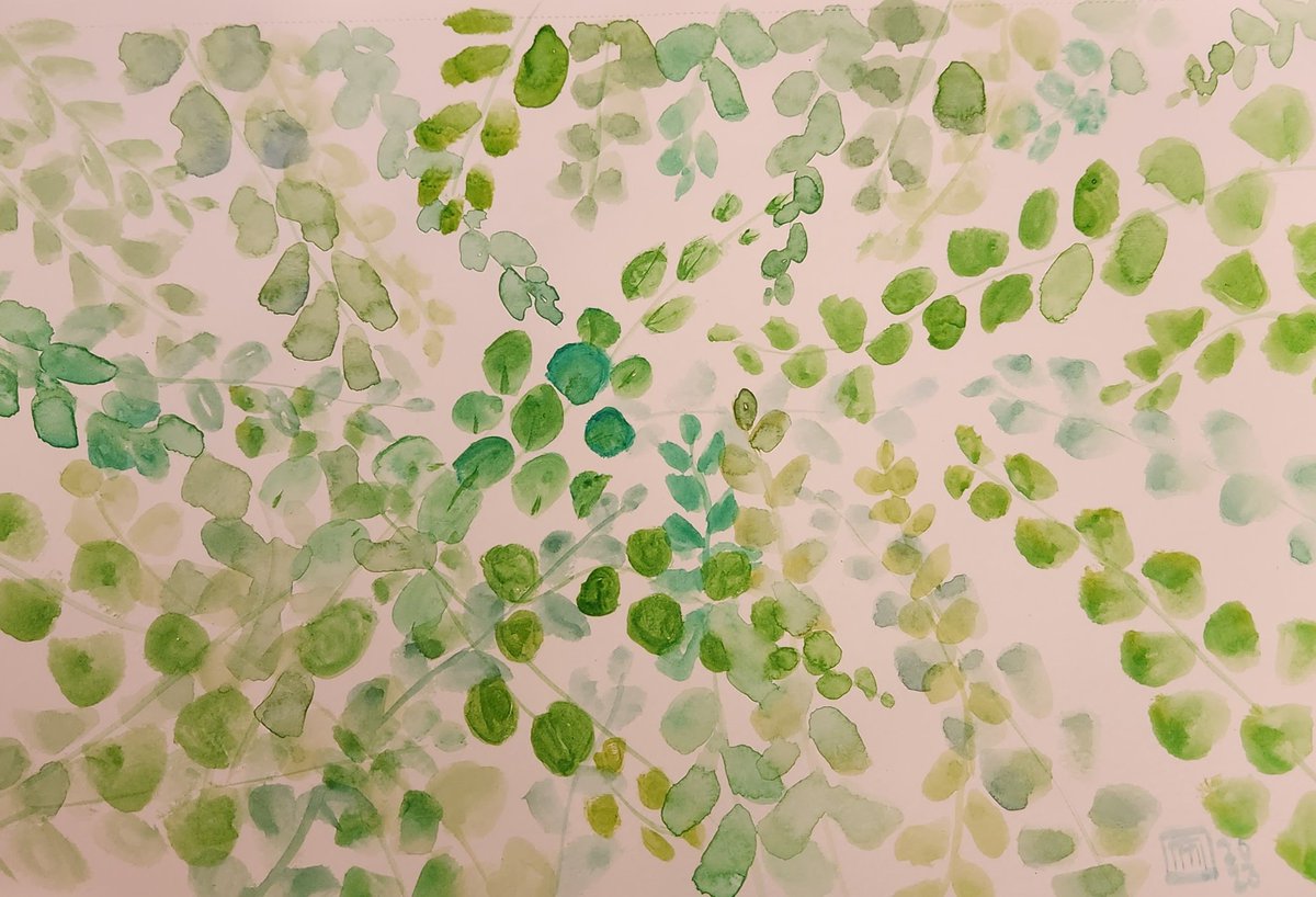 mcoak6's tweet photo. Maiden hair fern 
#sketchbookpractice #watercolour #painting #mariaoakleyart #originalart
#maidenhairfern https://t.co/JAVny5D8U7