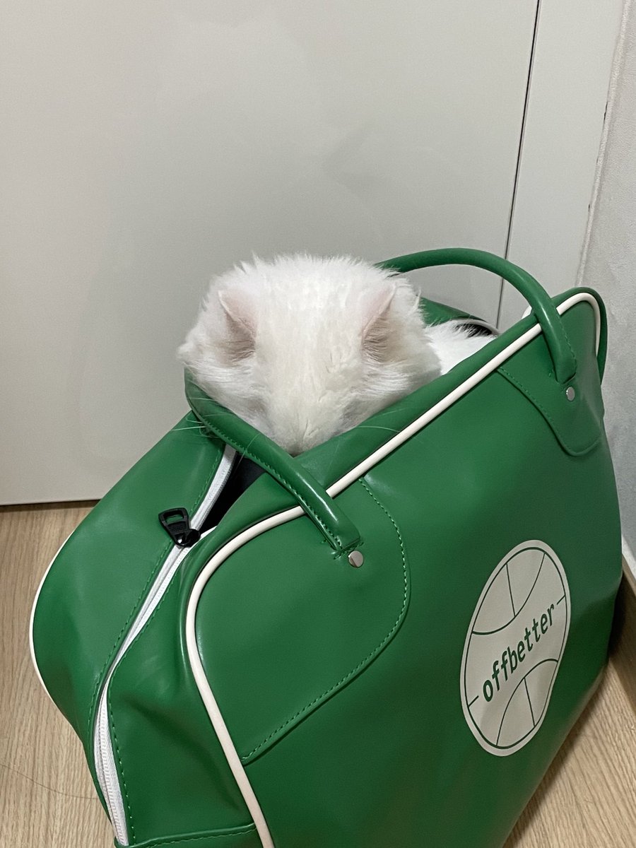 짱백희 tweet media