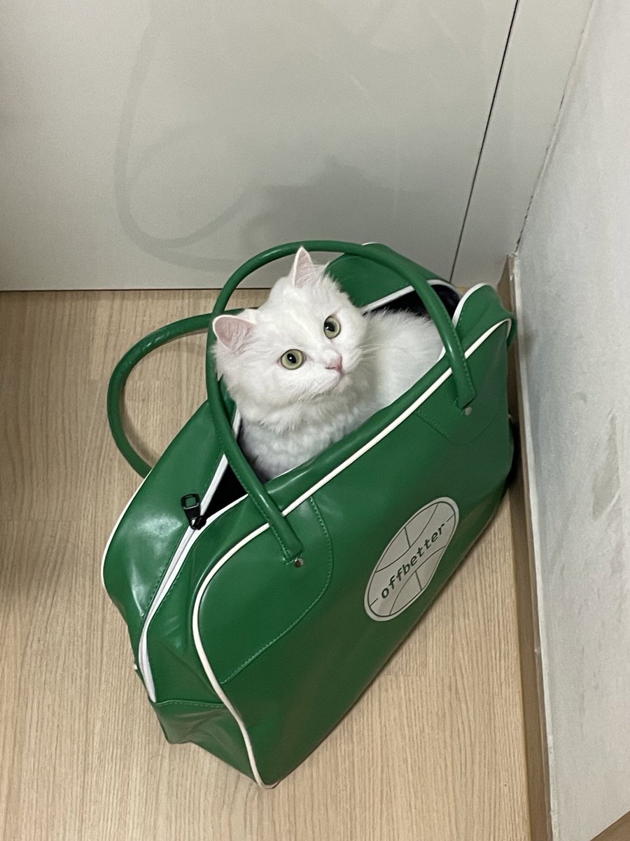 짱백희 tweet media