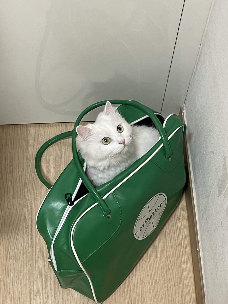 짱백희 tweet media