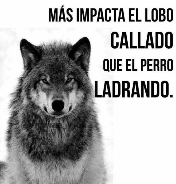 Frases de la vida tweet media
